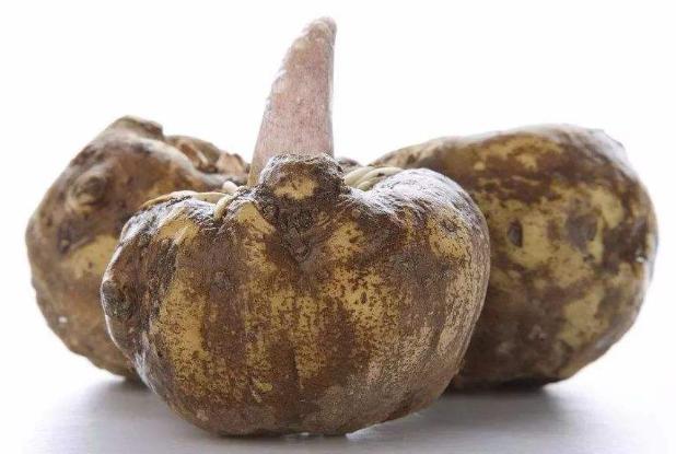 这食材生吃有毒，中毒后产生麻痹感，被中国人做成有助减肥的小吃