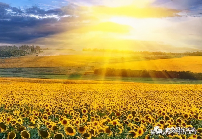 日出即景优秀范文,日出即景好词好段