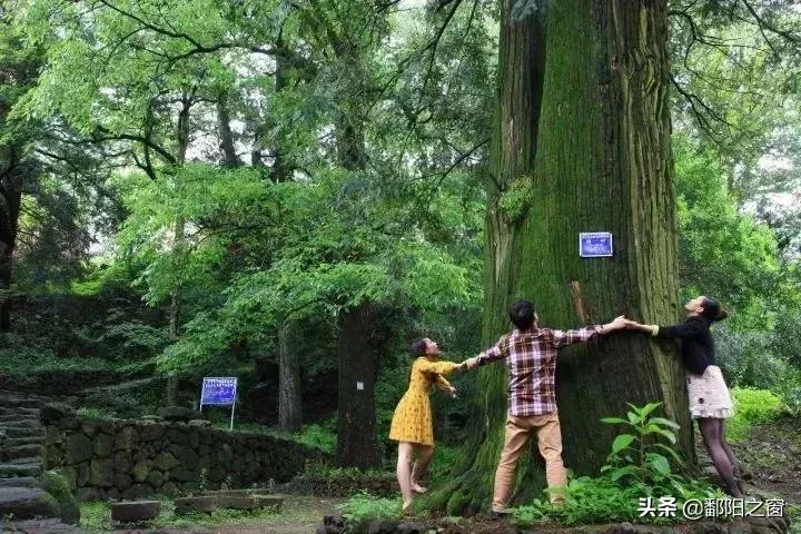 金华古镇旅游景点大全,金华秀丽山水旅游攻略