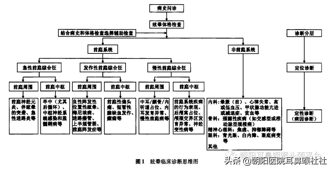 晕晕的系列六——眩晕莫慌,我们来帮