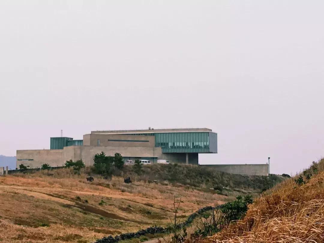 济州岛小清新旅游攻略,济州岛冬日街景