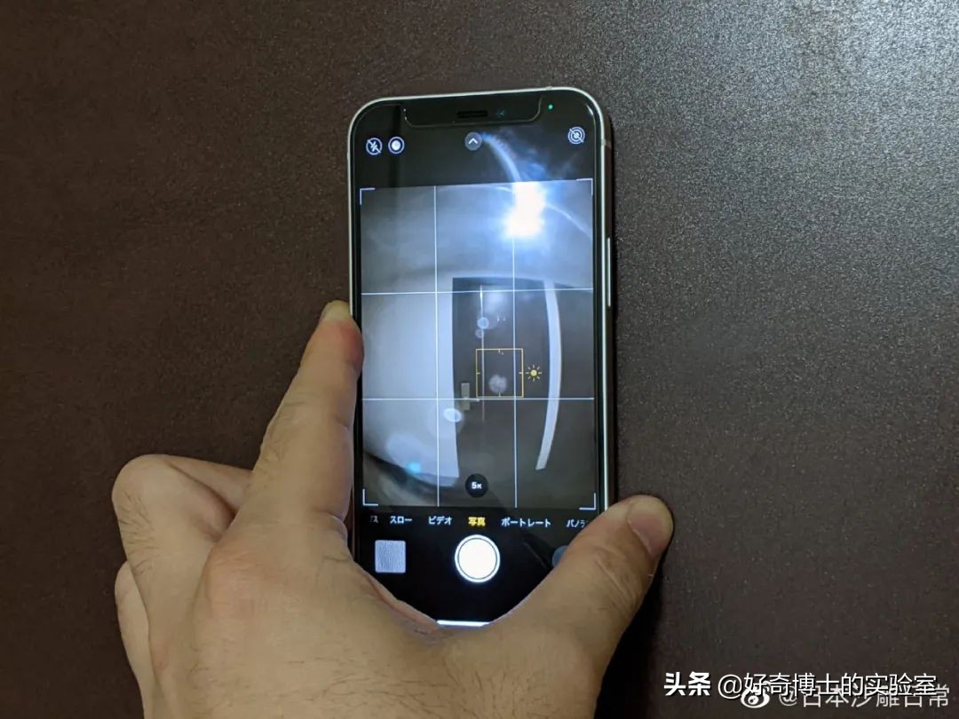 撸过猫撸过狗但你撸过“鱼”吗?