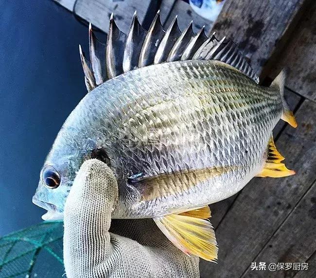 海鲜大荟萃,常见贝壳类海鲜