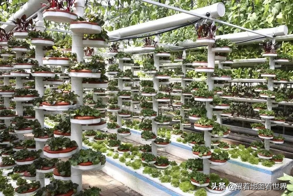 灌云特产内衣,灌云特产特殊内衣是什么