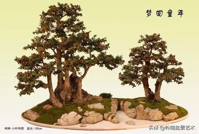 杂木盆景也毫不逊色,杂木盆景值钱吗