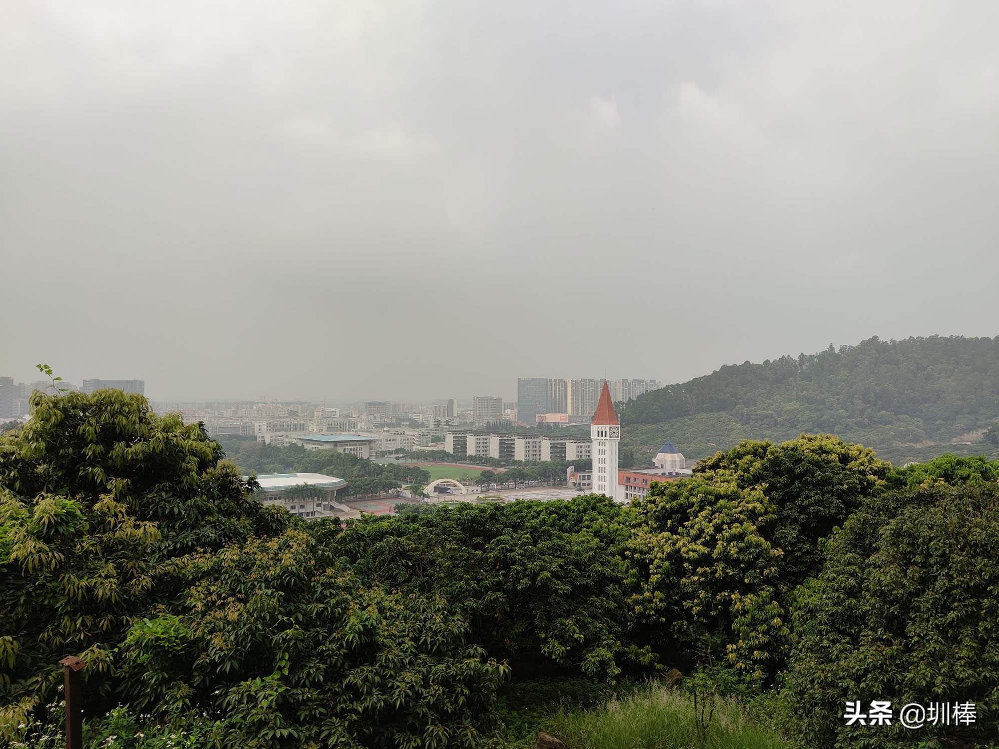 深圳最长的海岸线爬山攻略,凤凰山适合老人孩子的爬山攻略