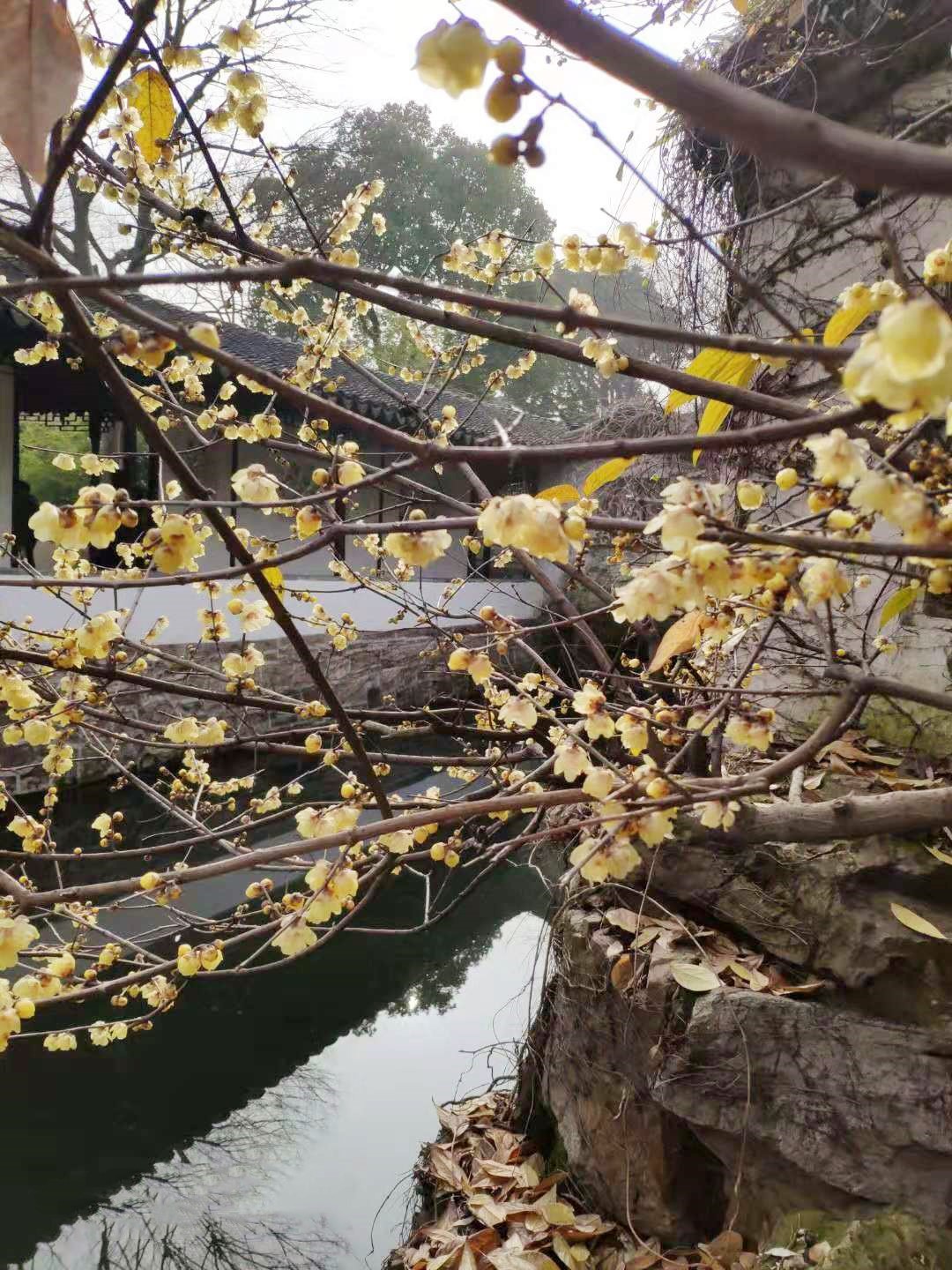 2020苏州租房落户新政再次明确,苏州落户新政策最新消息