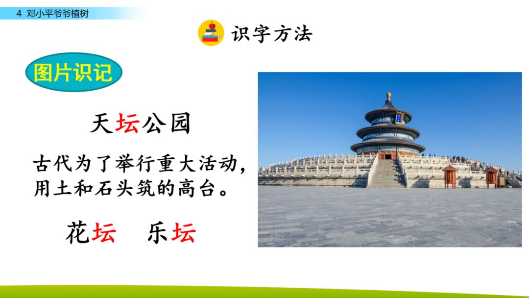 部编版二年级下册语文第4课《*小平邓**爷爷植树》知识点+图文讲解