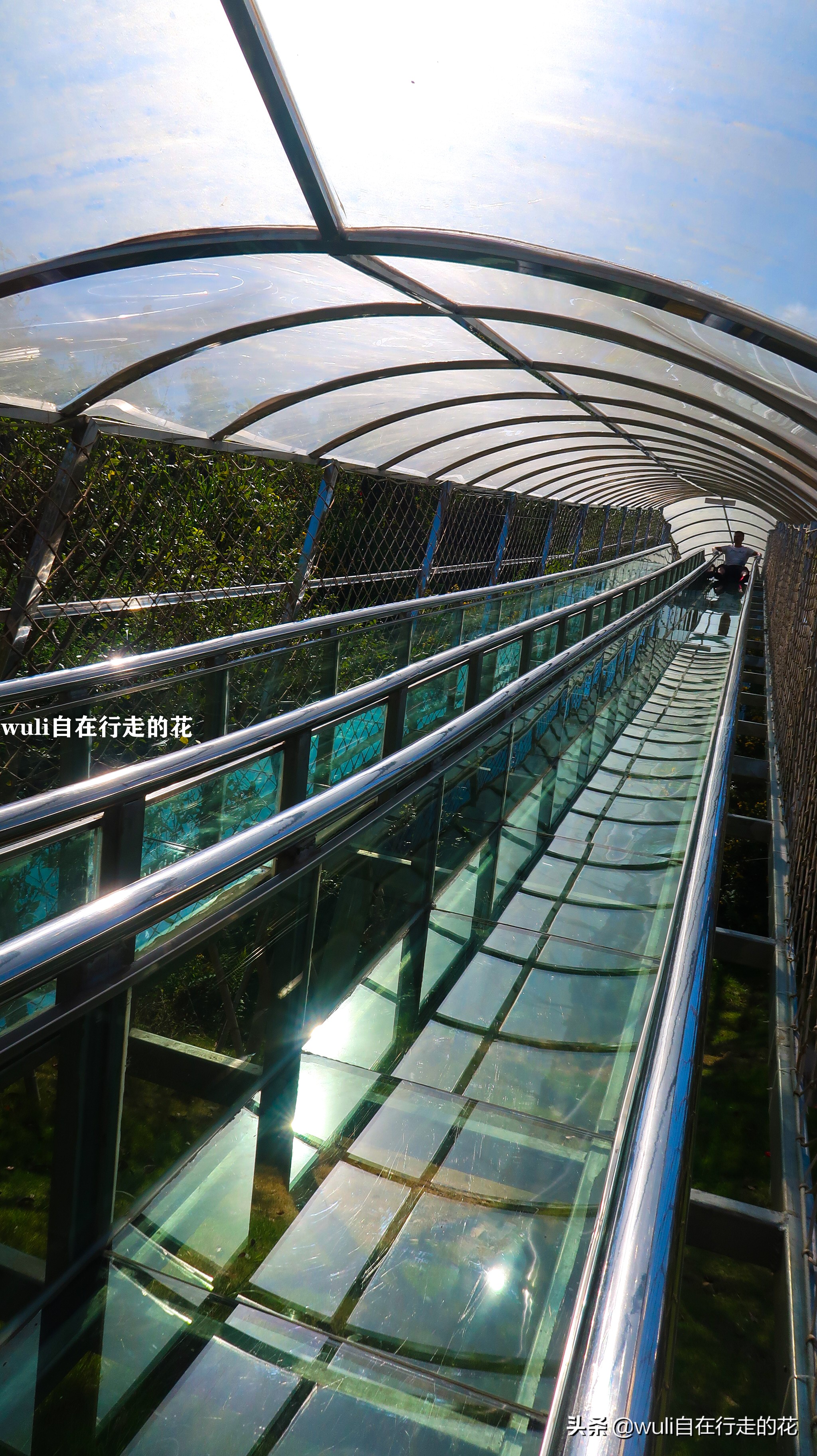 长泰县十里蓝山,漳州长泰十里蓝山攻略