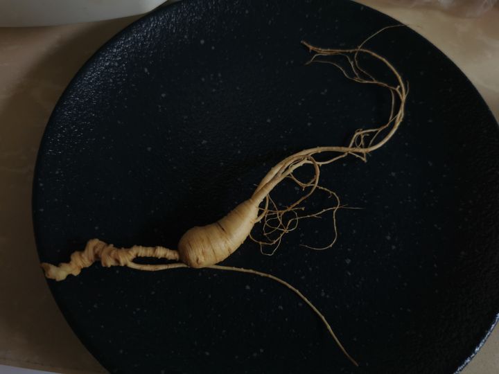 生晒参怎么烘干,生晒参怎样保管不生虫