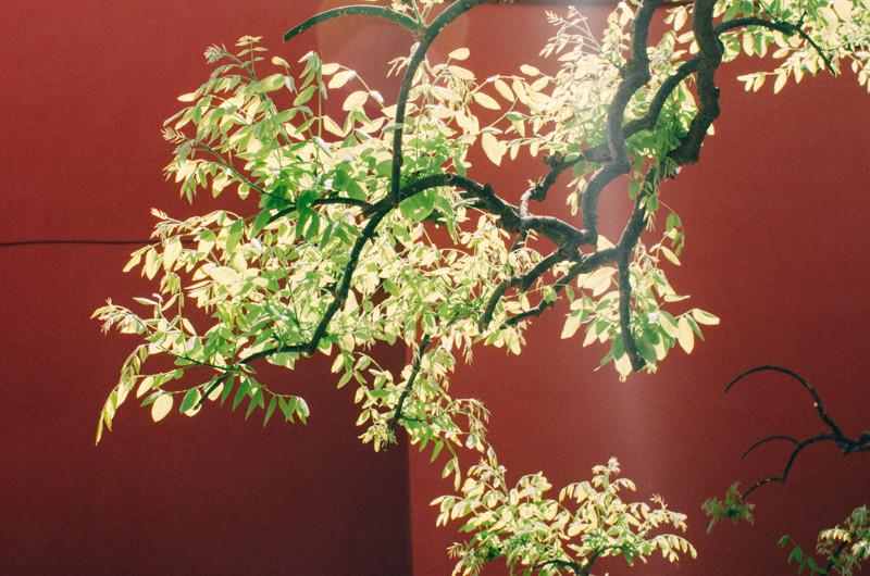 北京故宫最全攻略,故宫你不可不知道的十个秘密