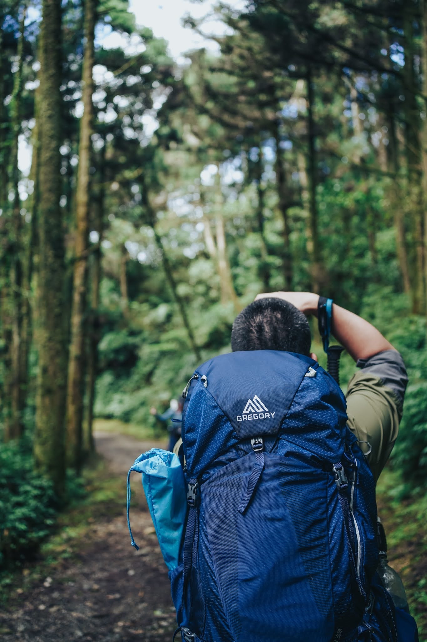 格里高利登山包尺码选择,格里高利双肩背包经典款