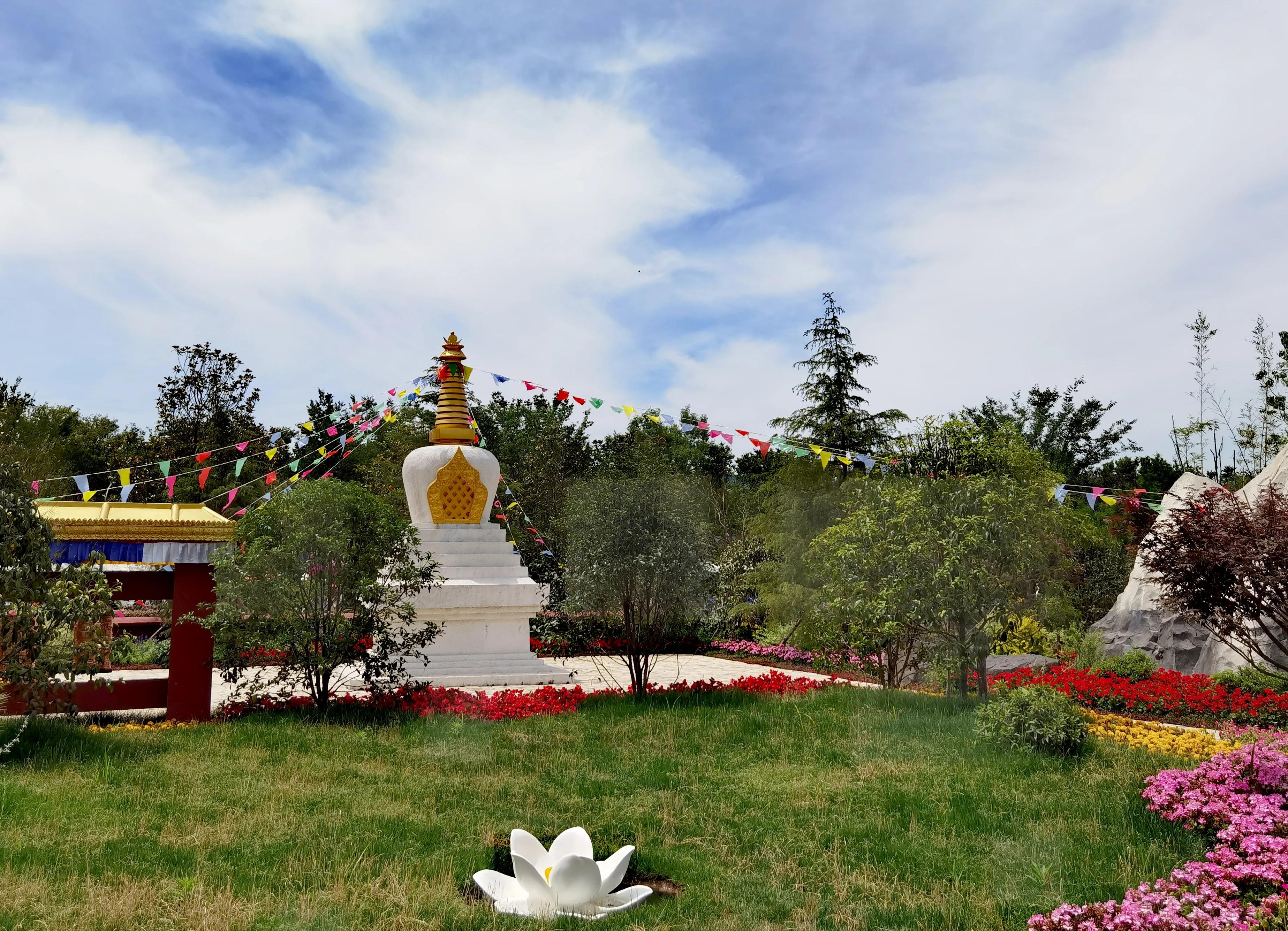 关于崇明花博会,崇明花博会全程花景