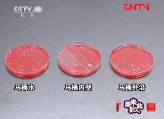 这一年种草的居家好物有哪些,种草幸福感好物