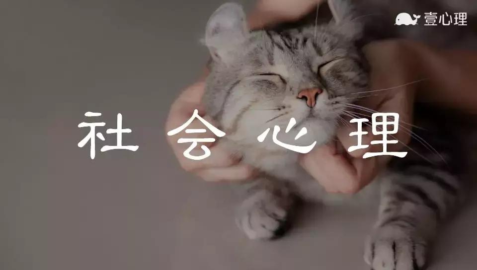 大四学生虐猫事件真相,中国留学生美国虐待案后续