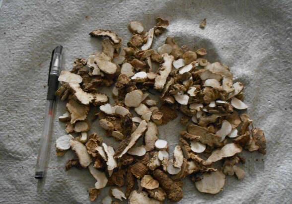 农村此种野草很罕见,这种野草罕见又稀少