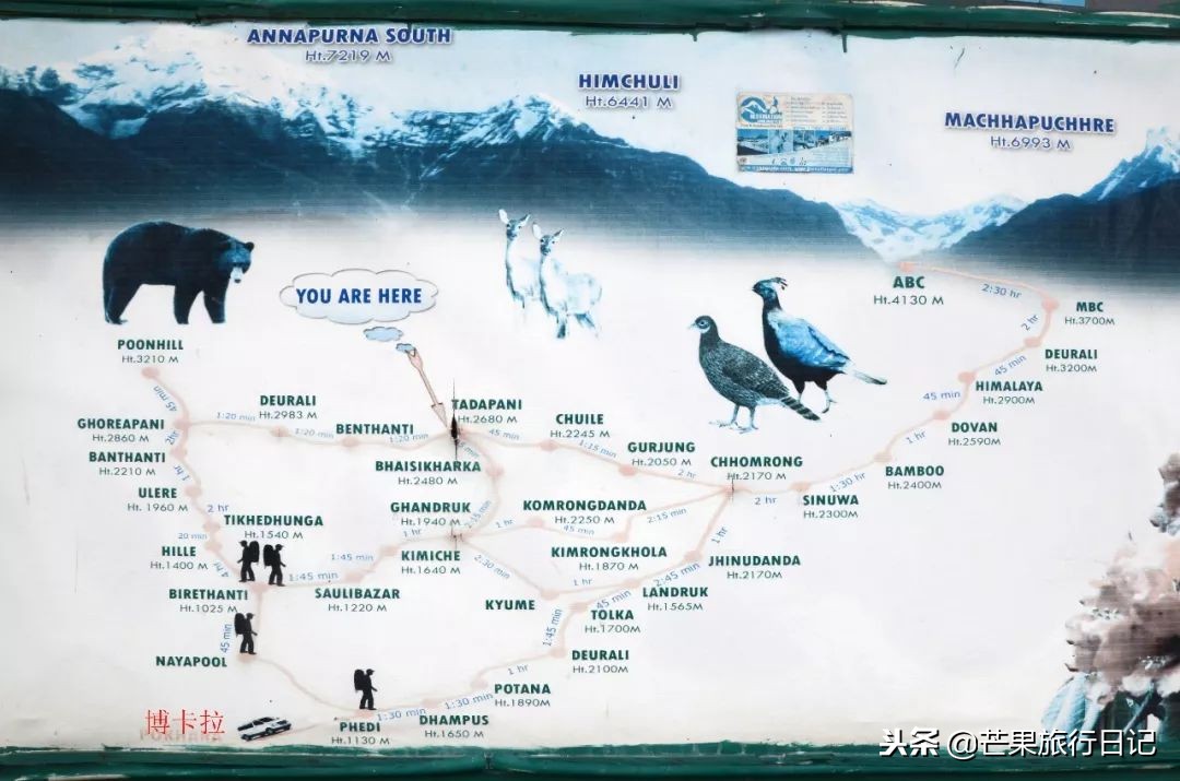 一个女孩徒步西藏49天,一个女孩的徒步旅行