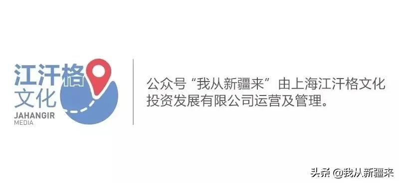 再见球王迭戈马拉多纳纪录片,再见马拉多纳