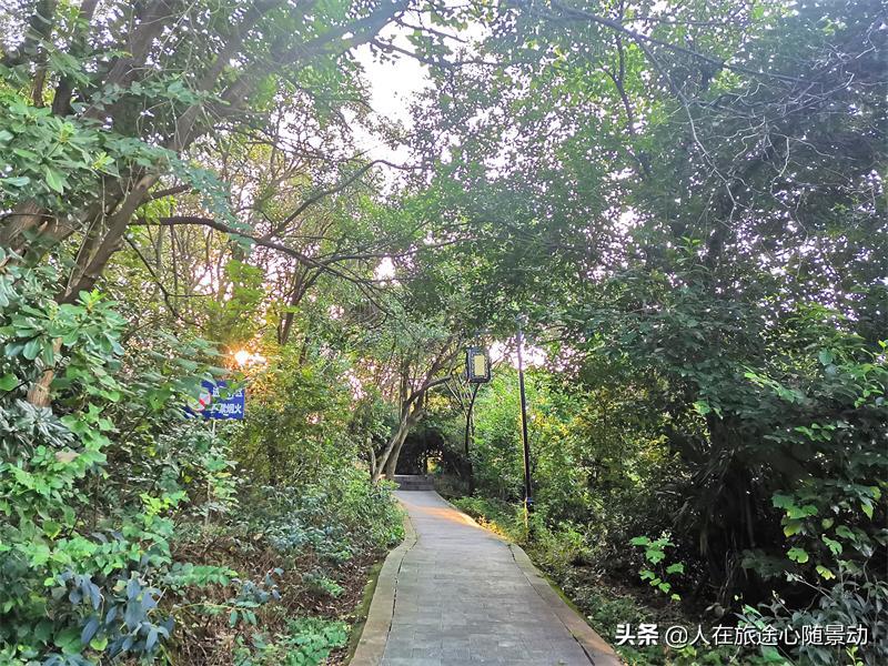 南京江宁一日游免费景点,南京江宁东山公园介绍