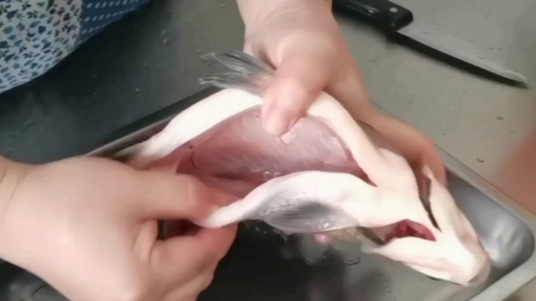 在家做红烧鱼怎么做才好吃,红烧鱼这样做味道鲜美好吃又入味