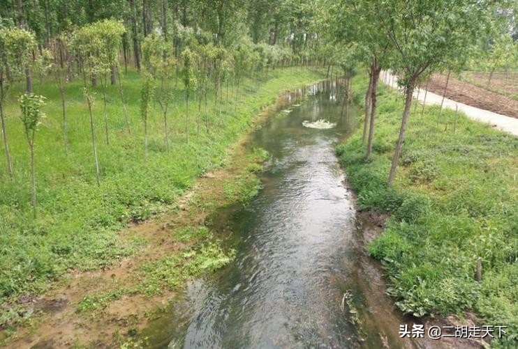 五眼泉地名由来,五眼泉真实情况