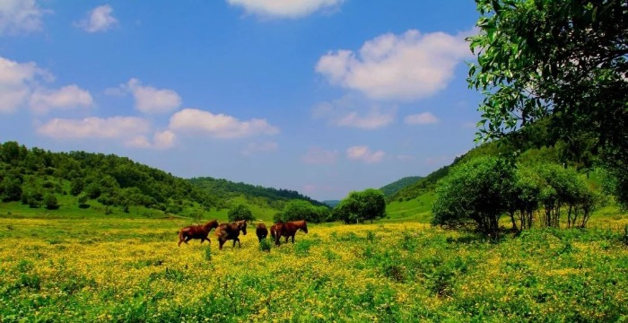 宝鸡夏日避暑好去处,宝鸡周边的避暑胜地