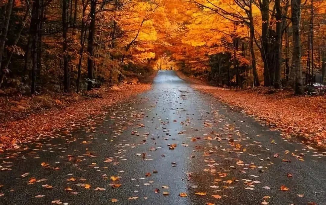 清明的雨散文名篇,清明的雨美文