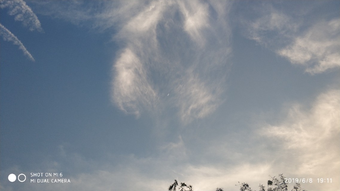 许昌秋湖湿地瑞贝卡王国,许昌瑞贝卡湿地公园