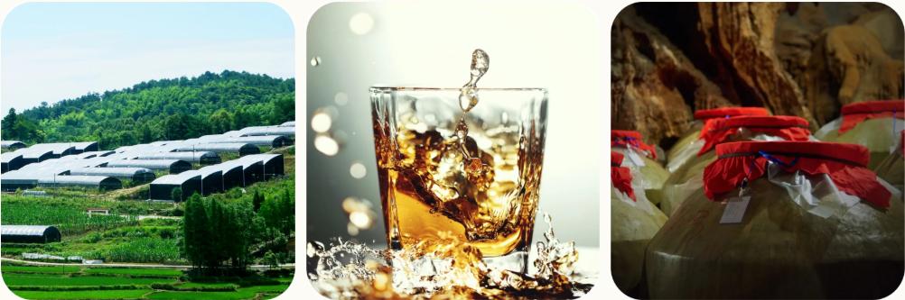 黑石斛酒,石斛黑瓶酒