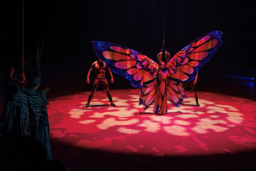 西双版纳蓝孔雀江景主题酒店,西双版纳告庄双景酒店攻略