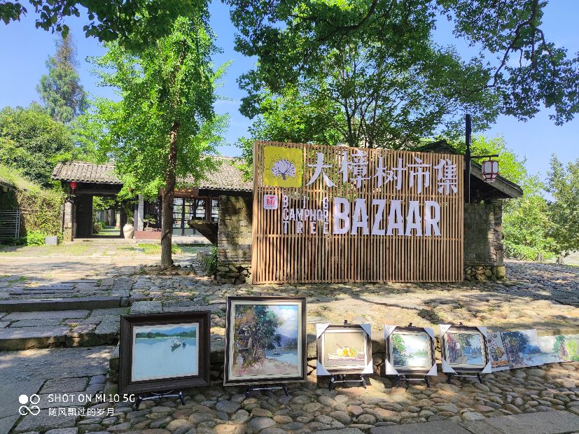 浙江丽水五日游,丽水景宁三日游攻略
