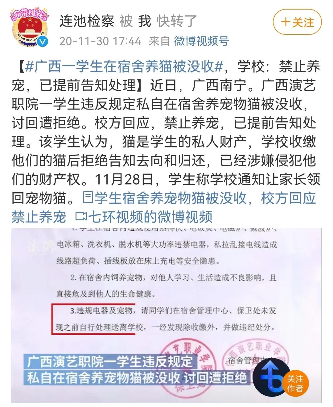我为什么劝你别学医,在宿舍养猫很后悔
