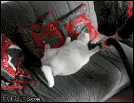 购买吸尘器注意什么,买吸尘器避坑