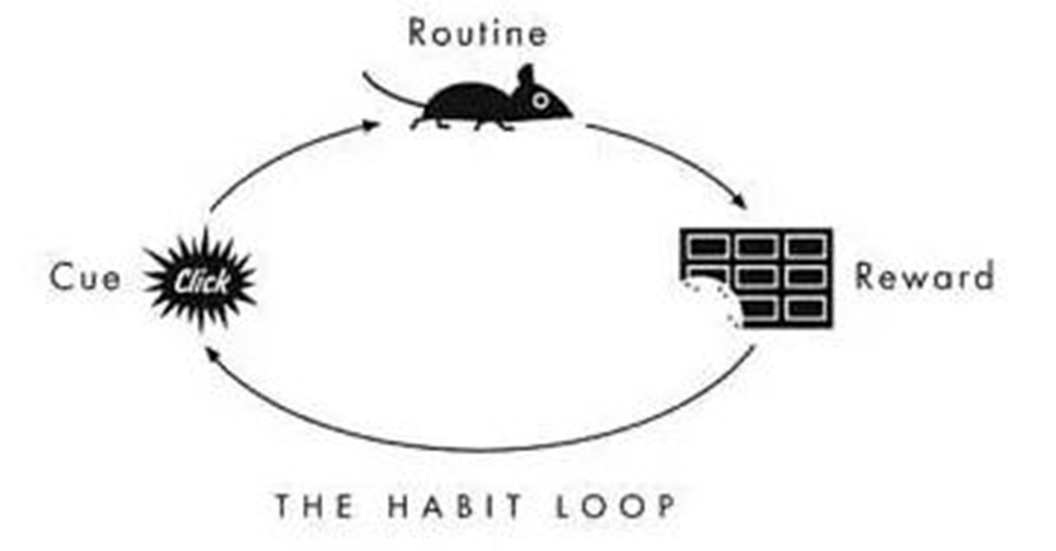 怎么教孩子熬夜玩手机,孩子熬夜玩手机不睡觉怎么教育