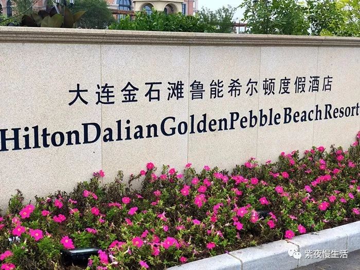 大连金石滩希尔顿酒店海景,大连鲁能希尔顿度假酒店海景房