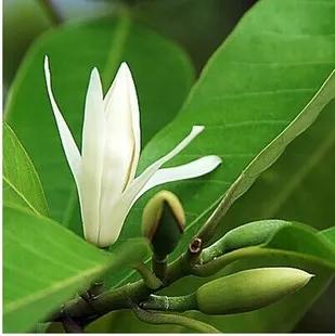 章贡区部分区域,章贡区街道分布图