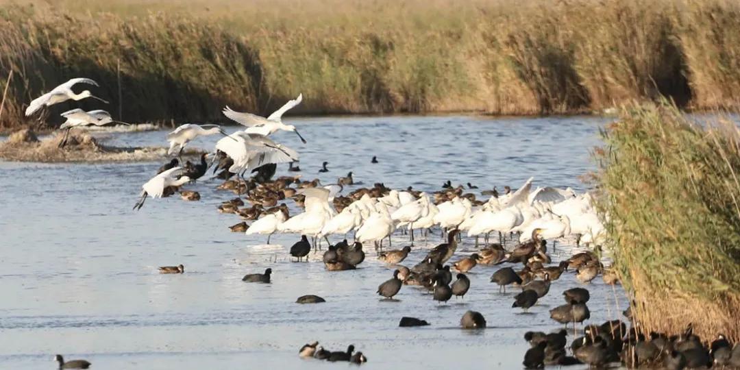 天津出发坐高铁到太原可以出站吗,从天津出发高铁可到达多少城市