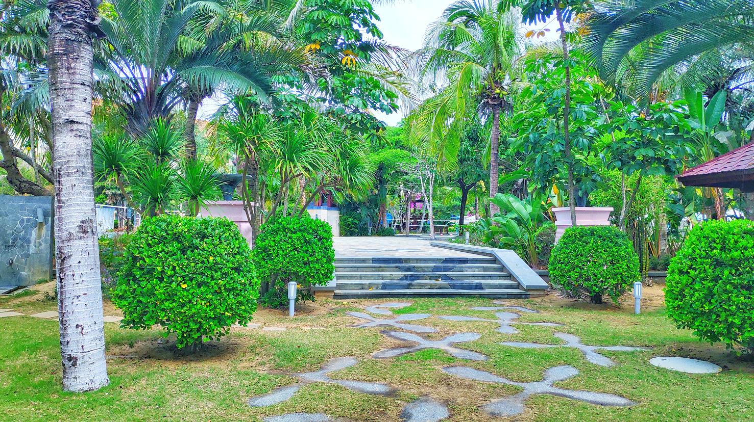 都是网红惹的祸,都是网红惹的祸完整版