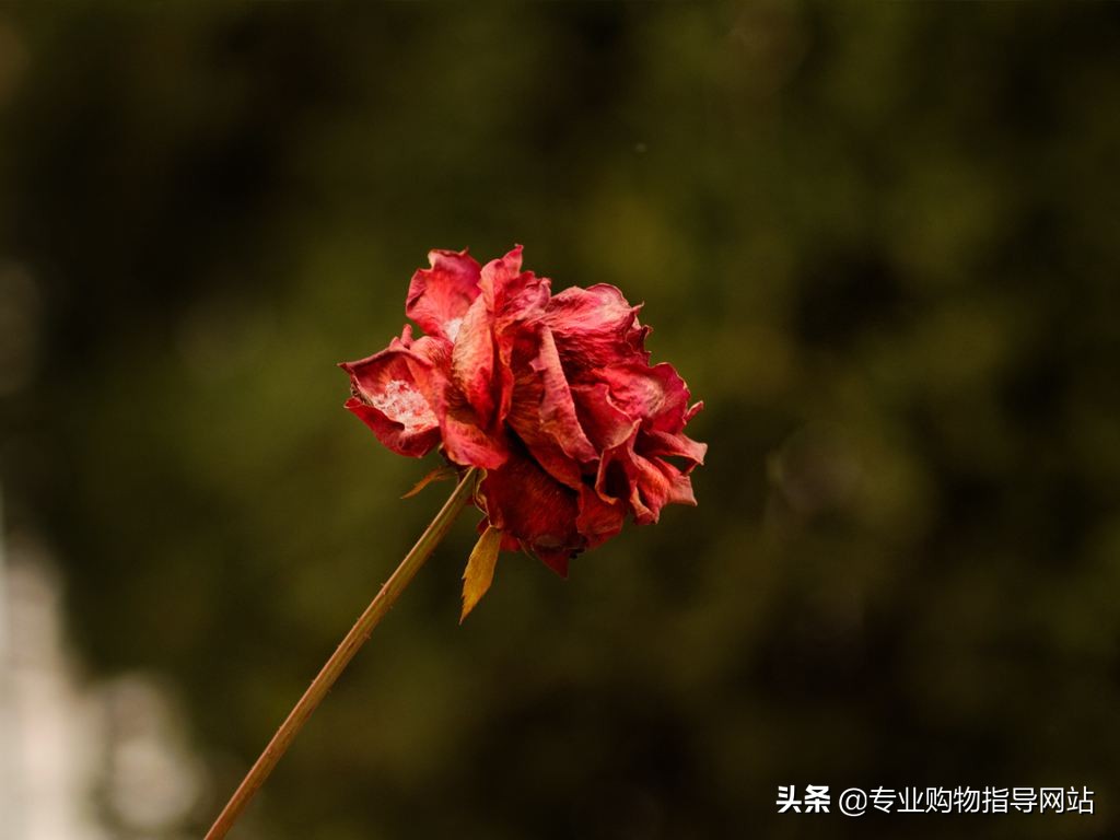 ray面膜敏感肌肤可以用吗,ray面膜查出问题