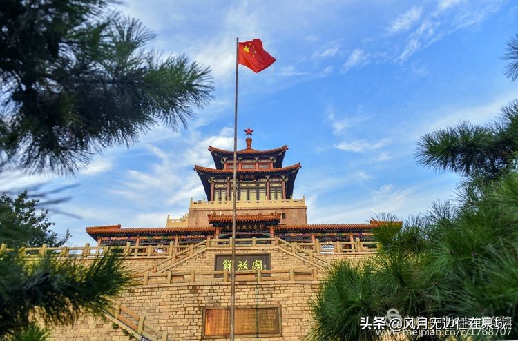 济南一颗梧桐树,济南的法国梧桐