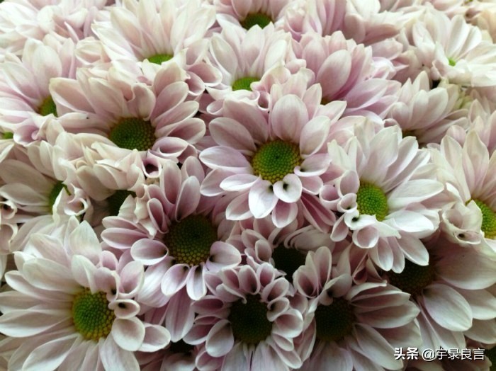 最新早安励志语录句句激励人心,励志阳光正能量文案早安