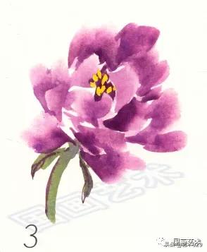 国画技法简单易学的写意牡丹,国画最简单牡丹画法教学视频