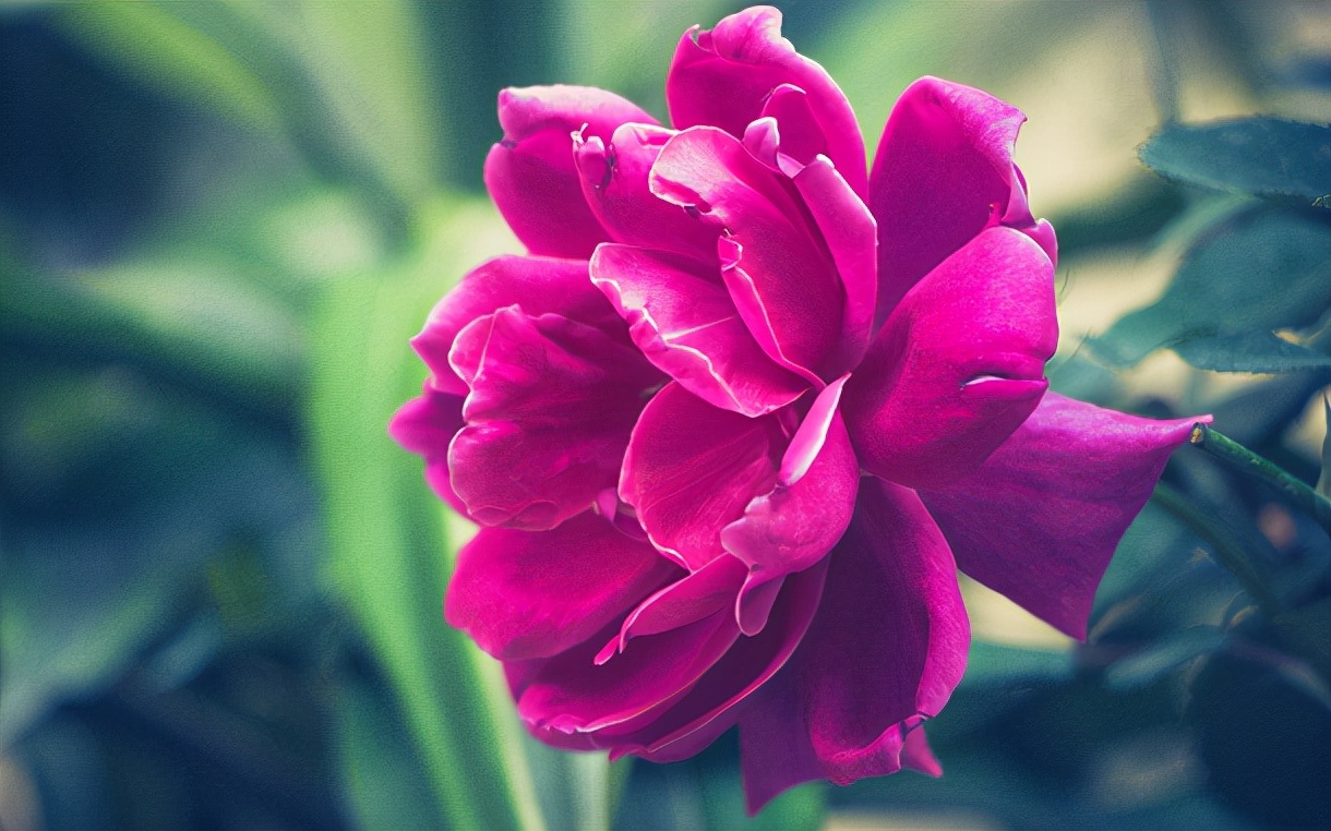 10个仪表堂堂的带沁字男宝宝名,个个高贵雅致