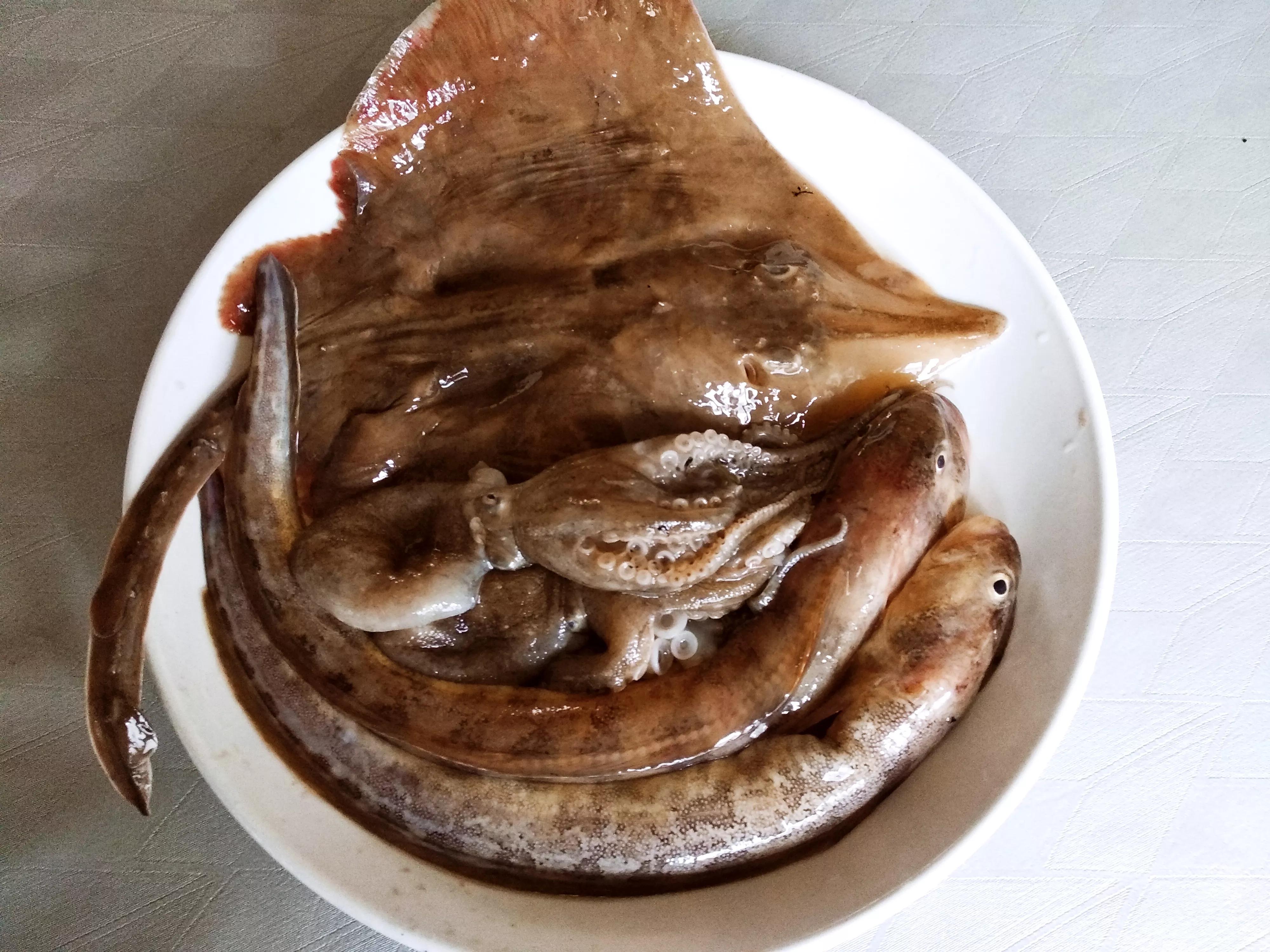 这个季节海鱼的做法,各种海鱼的家常做法