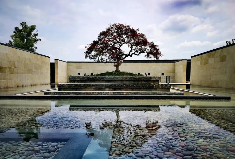 生活最大的意义在于有所期待,生活要有仪式感婚礼