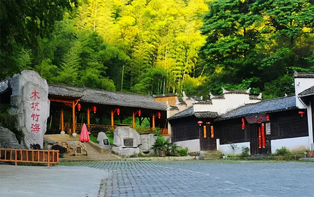 带着狗子旅行推荐,带着狗狗游新疆