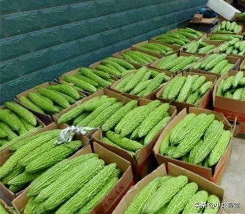 批发蔬菜卖菜挣钱吗,蔬菜批发市场卖菜怎样入行