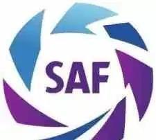 十大最好的足球联赛,年度最佳足球排名2023