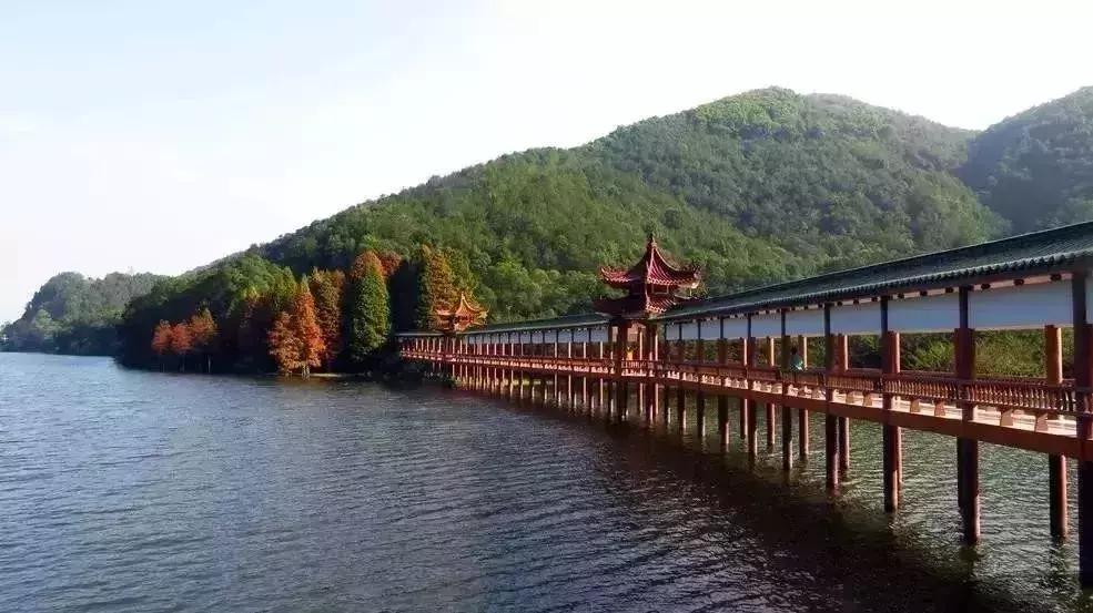 涓栫晫瀹㈤兘闀垮涔嬩埂姊呭窞,涓栫晫瀹㈤兘涓浗姊呭窞