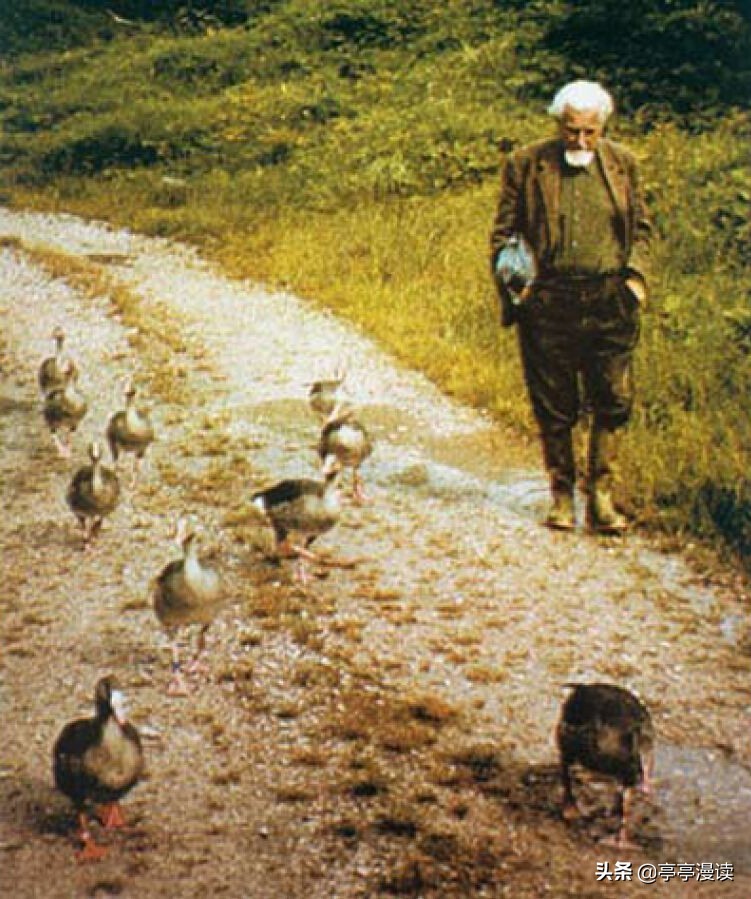 所罗门的指环豆瓣评分,所罗门王的指环在线阅读全文